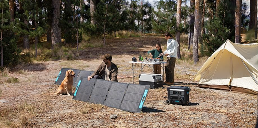 Best Solar Panels 2025: How to Choose for Car Camping
